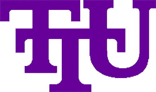 Tennessee Tech Golden Eagles 1997-2005 Primary Logo DIY iron on transfer (heat transfer)